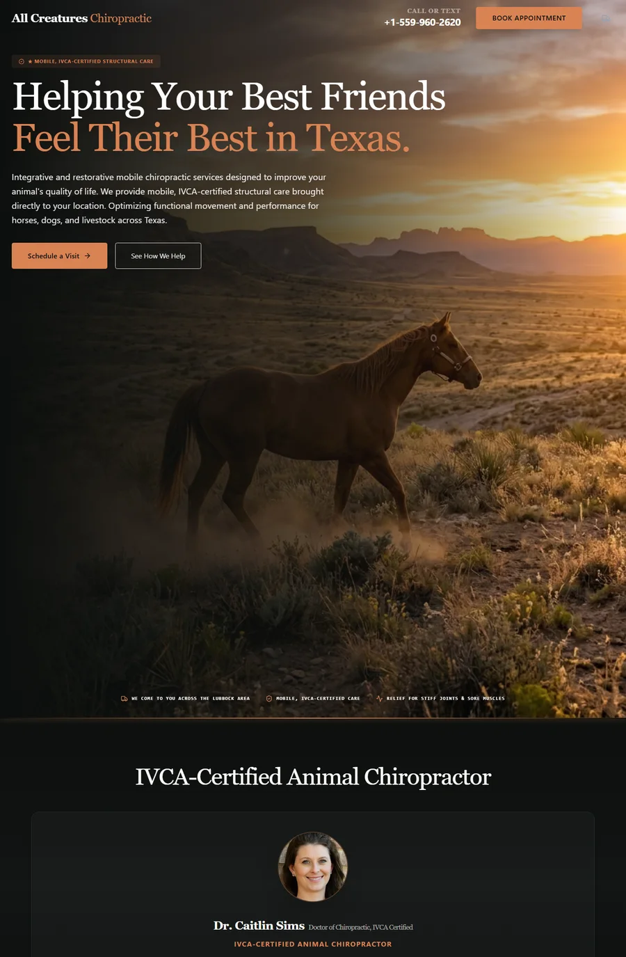 All Creatures Chiropractic — Live Website Preview
